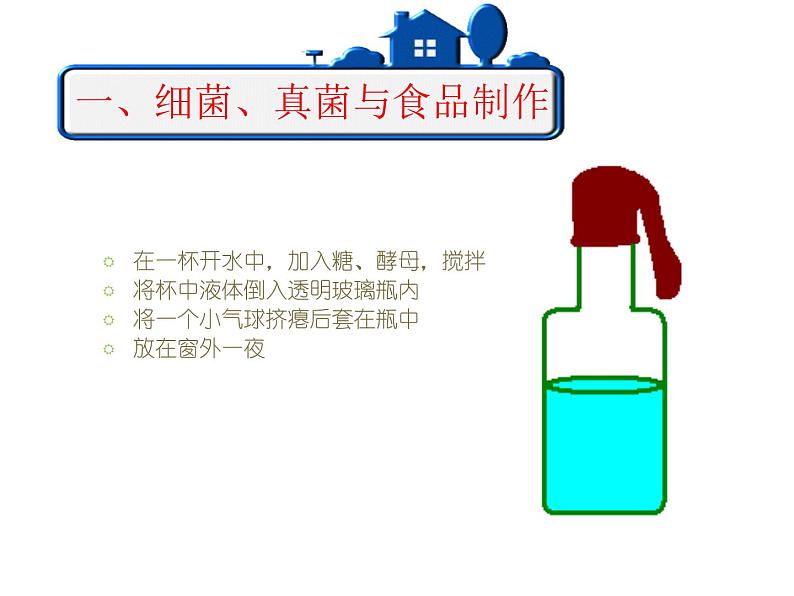 5.4.5人类对细菌和真菌的利用课件03