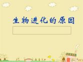 7.3.3生物进化的原因课件PPT