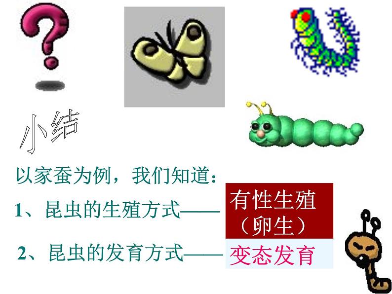 7.1.2昆虫的生殖和发育课件PPT第8页