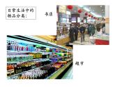 6.1.1尝试对生物进行分类课件PPT