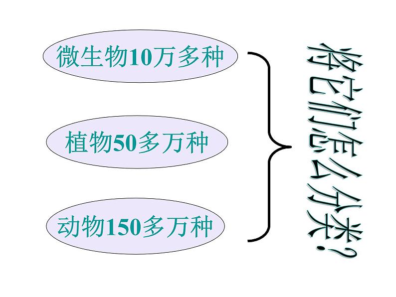 6.1.1尝试对生物进行分类课件PPT03