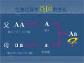 7.2.3基因的显性和隐性课件PPT