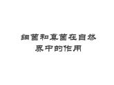 5.4.4细菌和真菌在自然界中的作用课件