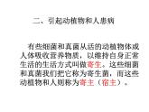 5.4.4细菌和真菌在自然界中的作用课件