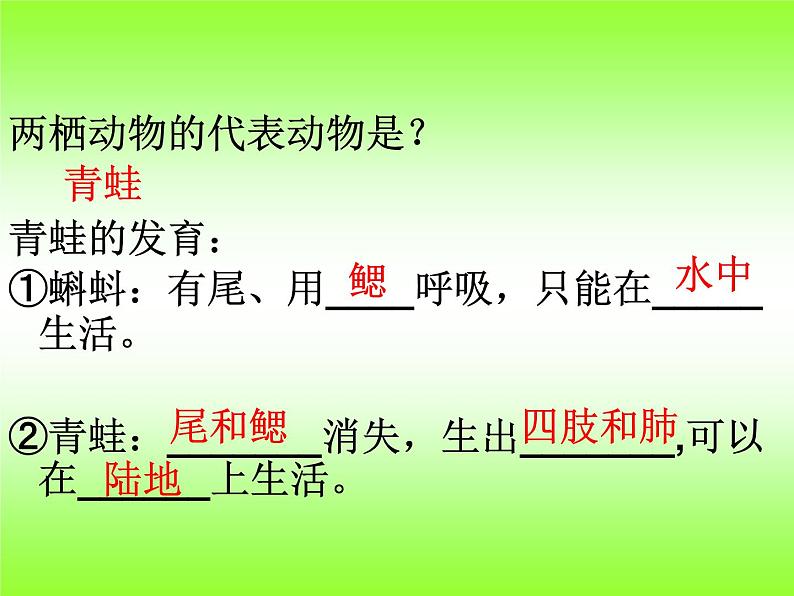 5.1.5 两栖动物和爬行动物课件PPT第3页