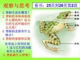 5.1.5 两栖动物和爬行动物课件PPT