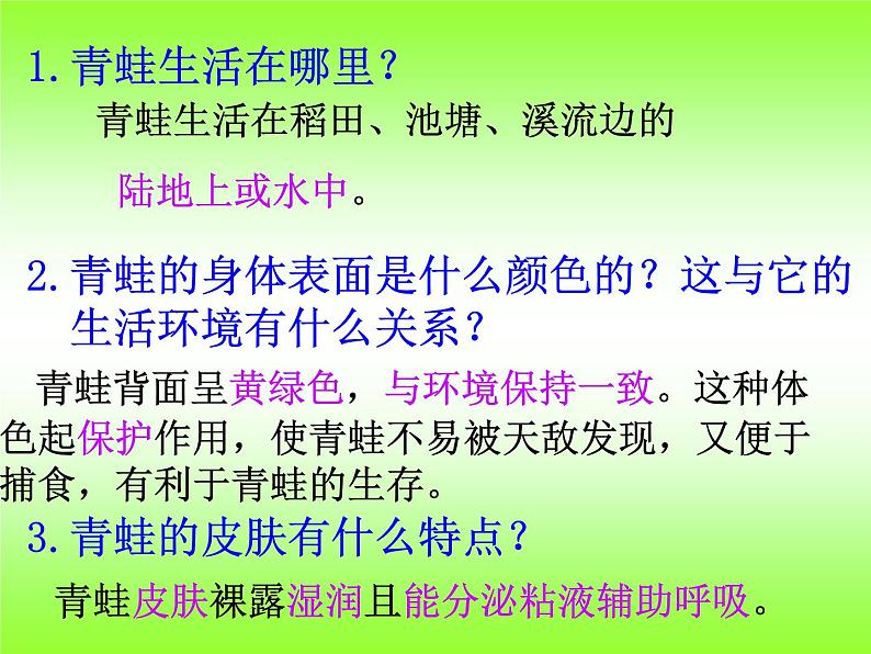 5.1.5 两栖动物和爬行动物课件PPT第5页