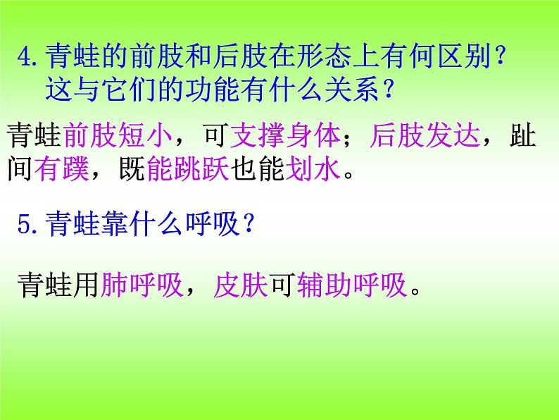 5.1.5 两栖动物和爬行动物课件PPT第6页