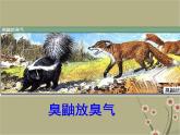 8.2.2先天性行为和学习行为课件PPT