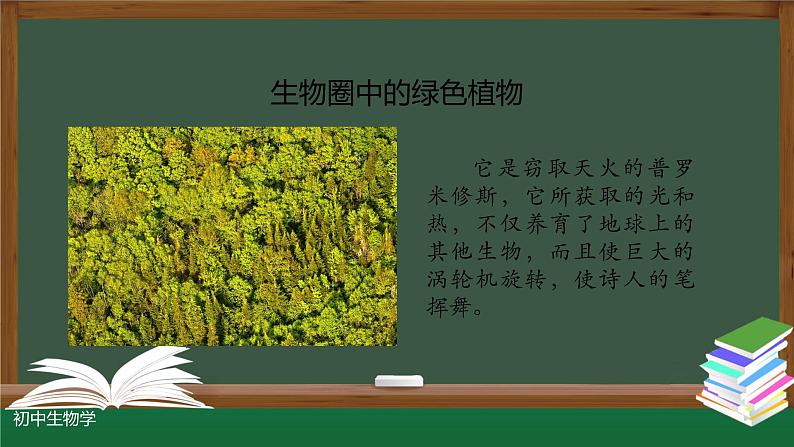 3.1.1藻类、苔藓和蕨类植物 课件   2021--2022学年人教版生物七年级上册第2页