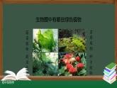 3.1.1藻类、苔藓和蕨类植物 课件   2021--2022学年人教版生物七年级上册