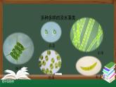3.1.1藻类、苔藓和蕨类植物 课件   2021--2022学年人教版生物七年级上册