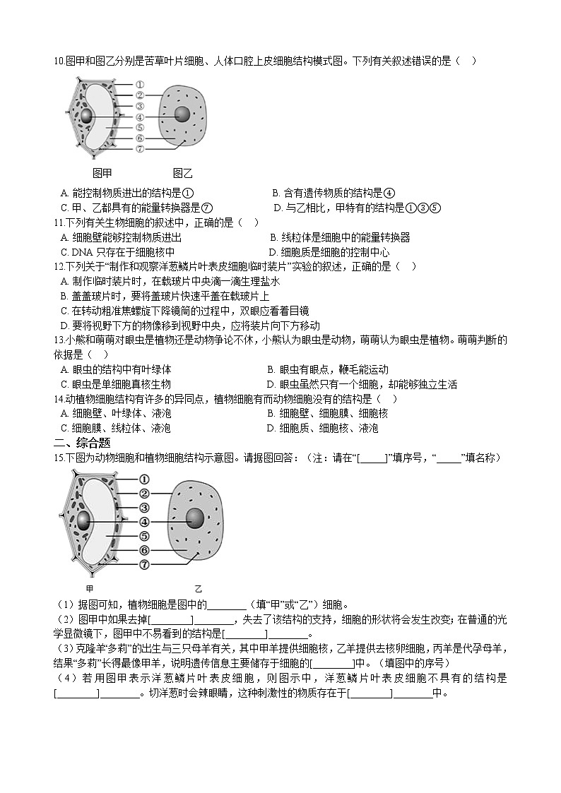 2.3.1细胞的基本结构及功能（二）同步训练(含解析)第2页