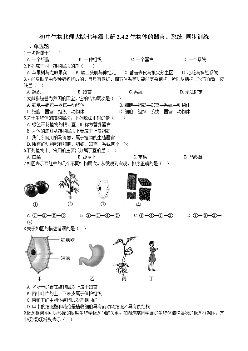 北师大生物七年级上册 2.4.2生物体的器官、系统 同步训练（含解析）01