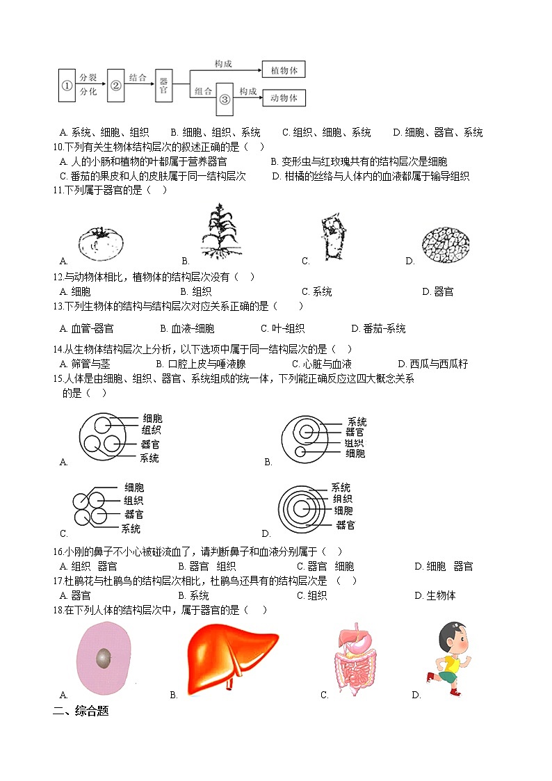 北师大生物七年级上册 2.4.2生物体的器官、系统 同步训练（含解析）02
