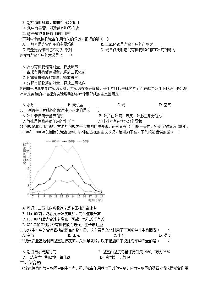 北师大生物七年级上册3.5.1 光合作用 同步练习（含解析）02