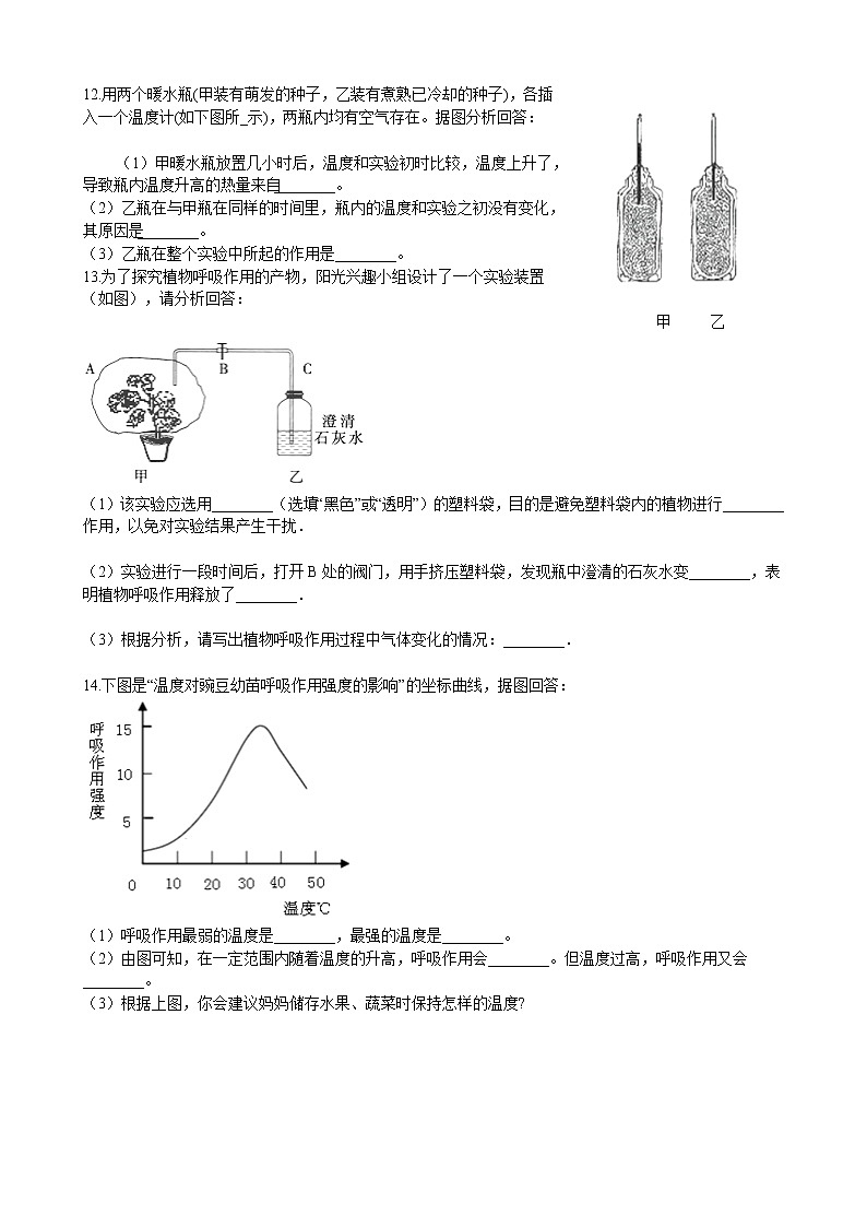 北师大生物七年级上册3.5.2呼吸作用 同步训练（含解析）02