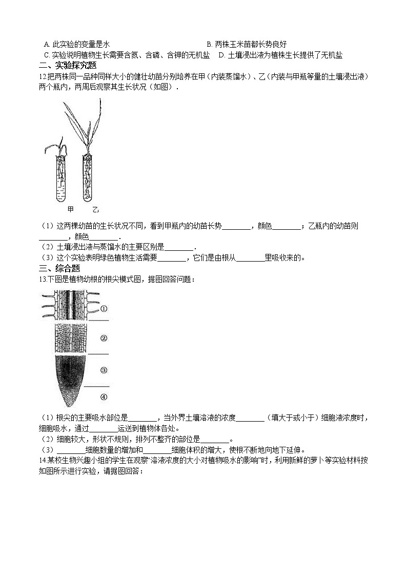 北师大生物七年级上册3.5.3吸收作用 同步训练（含解析）02