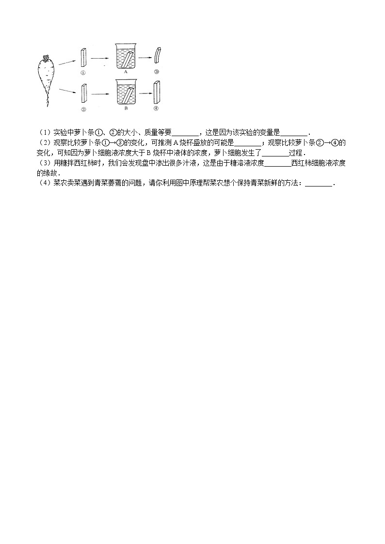 北师大生物七年级上册3.5.3吸收作用 同步训练（含解析）03
