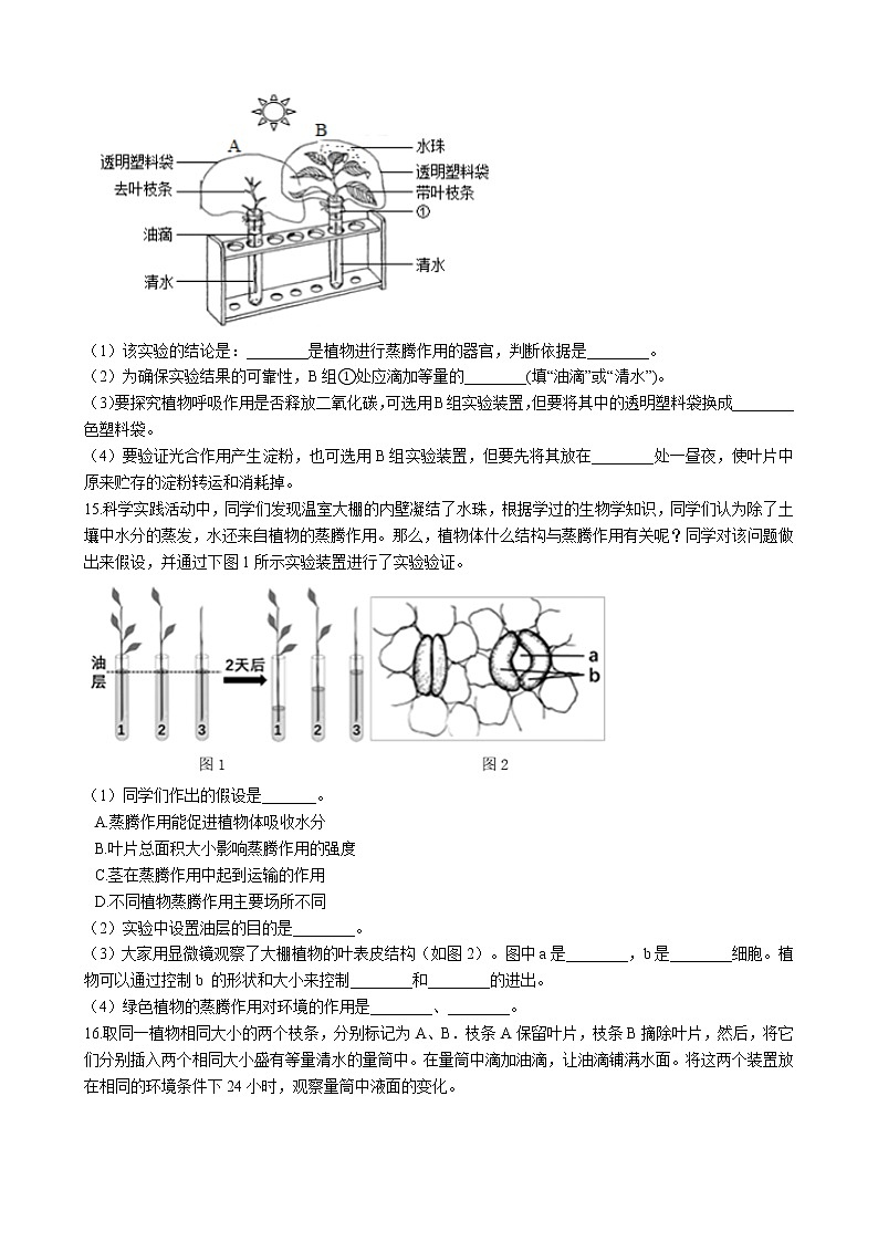 北师大生物七年级上册3.5.4 蒸腾作用 同步训练（含解析）03