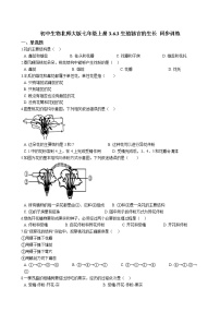 初中生物北师大版七年级上册第3节  生殖器官的生长课时训练