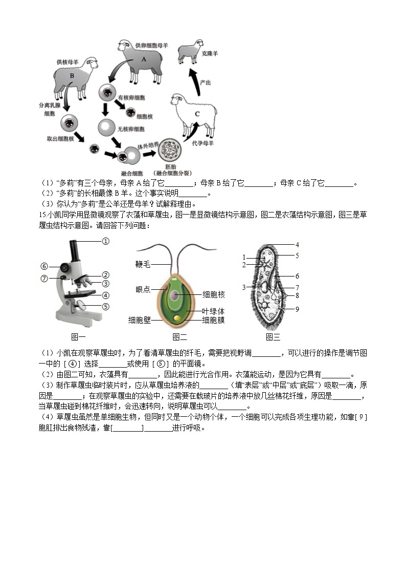 2.3.2 细胞是生命活动的单位 同步训练（含解析）02