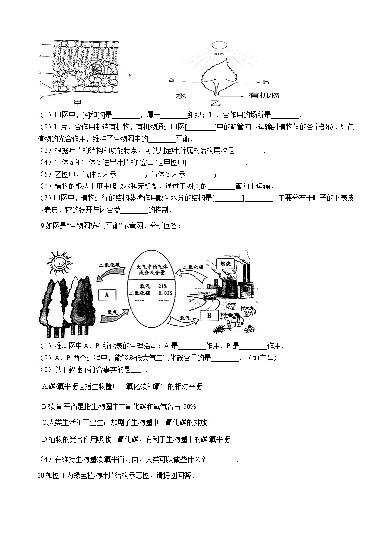 北师大生物七年级上册3.7.1绿色植物在生物圈中的作用（含解析）练习题03