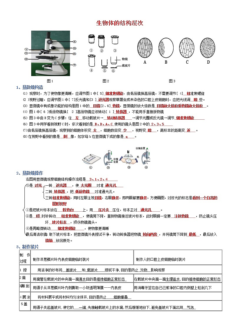 专题02 生物体的结构层次-2022年中考生物必背知识清单（含答案）学案01