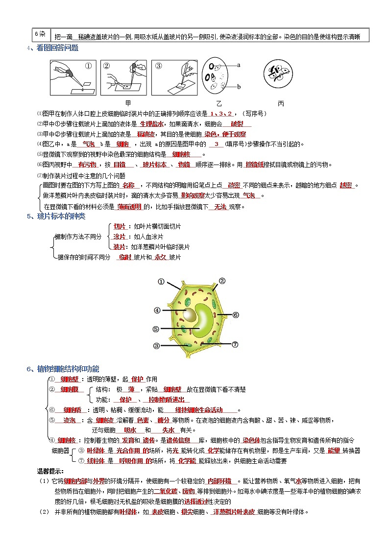 专题02 生物体的结构层次-2022年中考生物必背知识清单（含答案）学案02