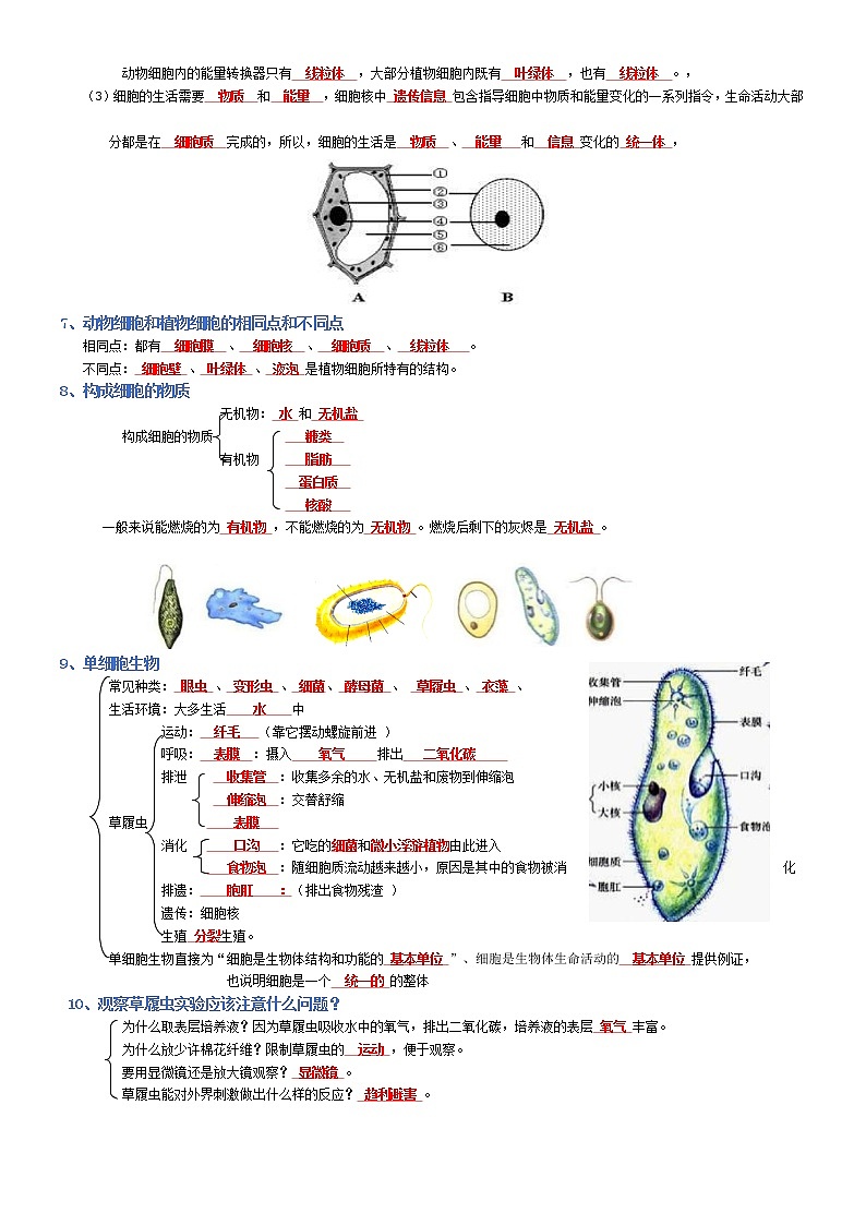 专题02 生物体的结构层次-2022年中考生物必背知识清单（含答案）学案03