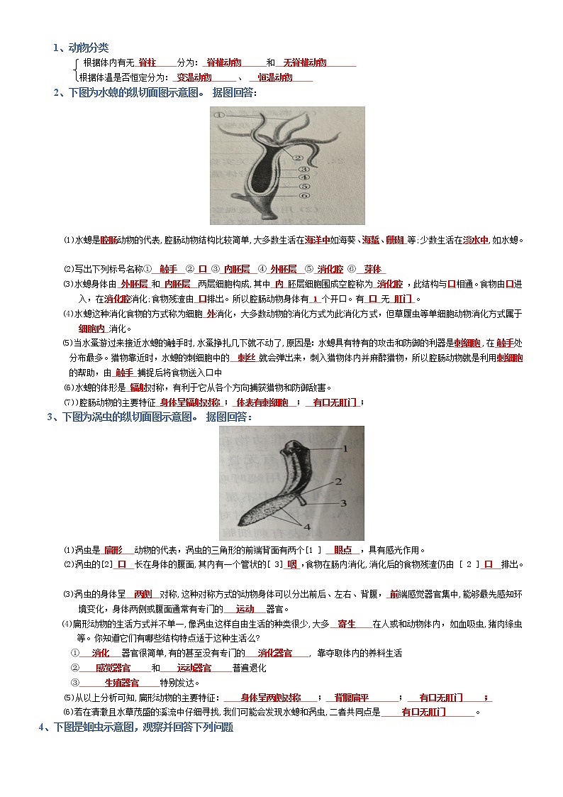 专题05 生物圈中的其他生物-2022年中考生物必背知识清单（含答案）学案第1页
