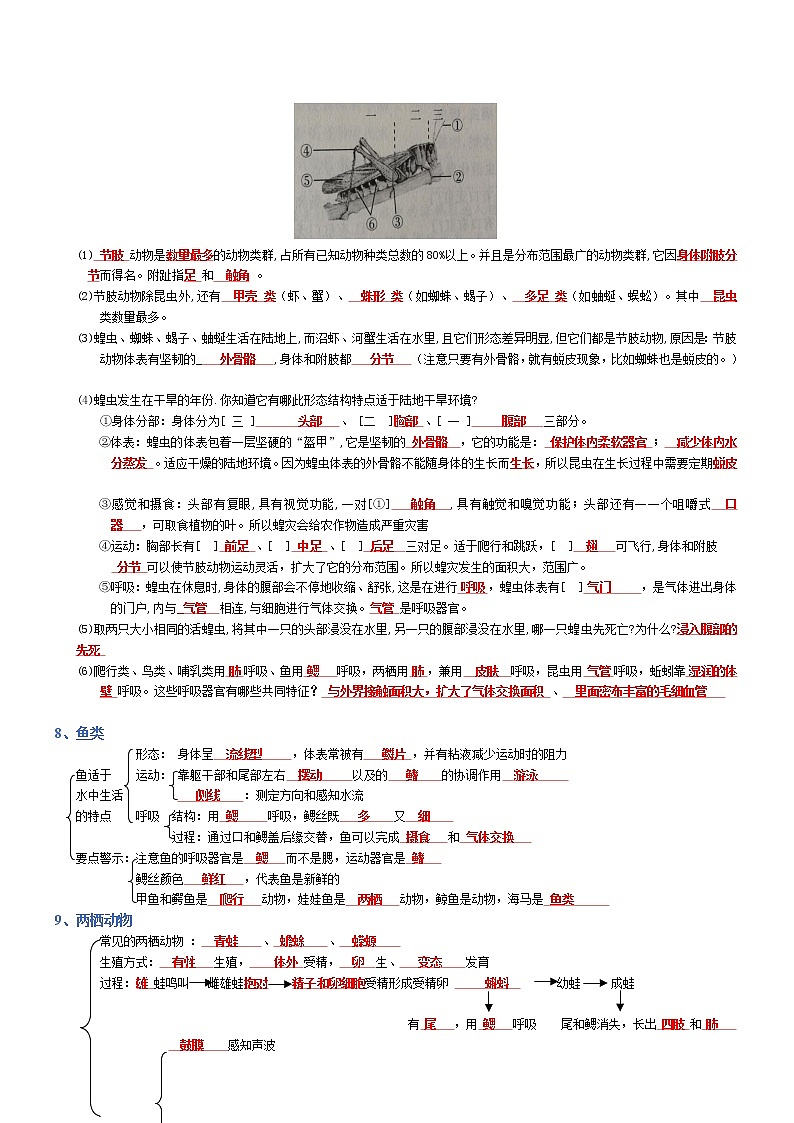专题05 生物圈中的其他生物-2022年中考生物必背知识清单（含答案）学案第3页