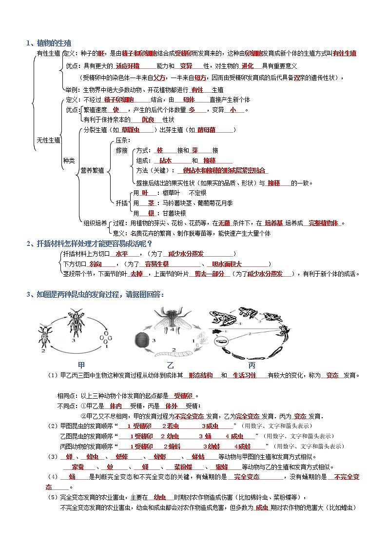 专题06 生物的生殖和发育-2022年中考生物必背知识清单（含答案）学案01