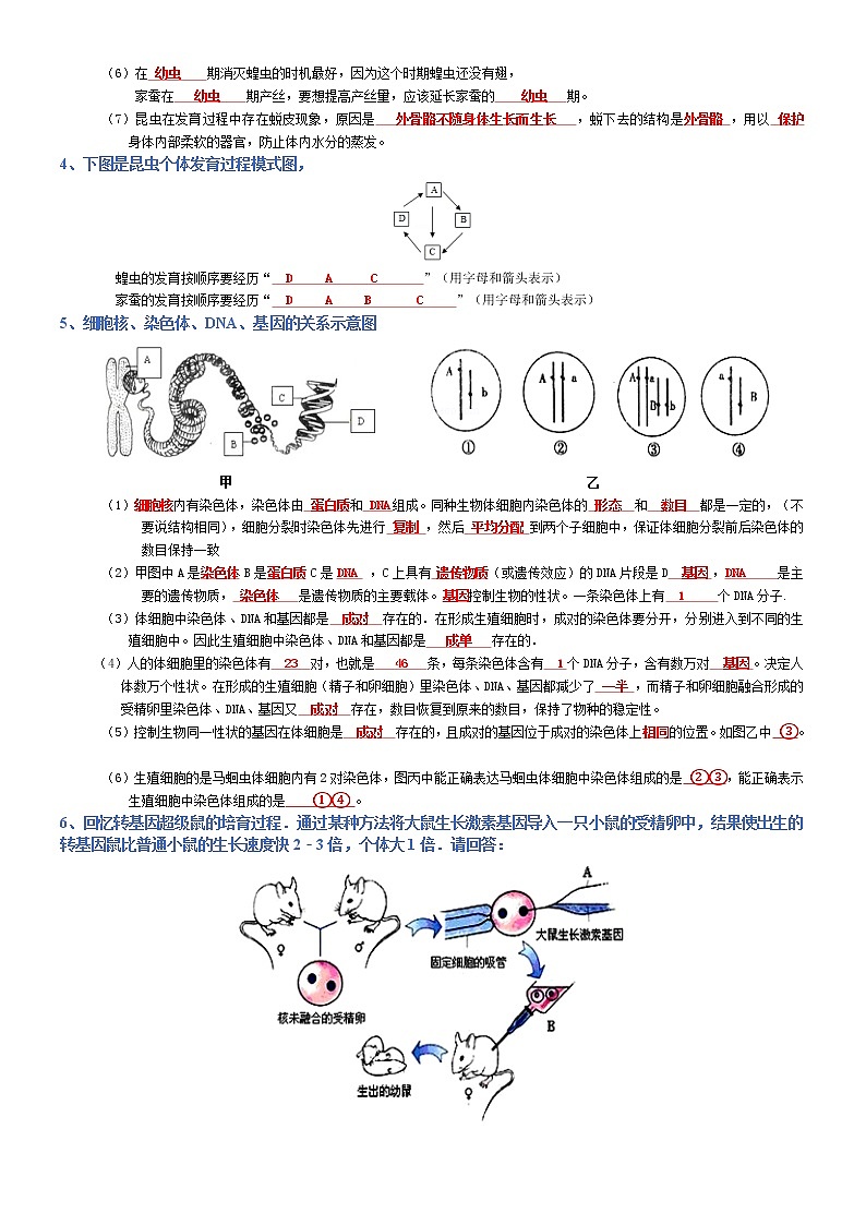 专题06 生物的生殖和发育-2022年中考生物必背知识清单（含答案）学案02