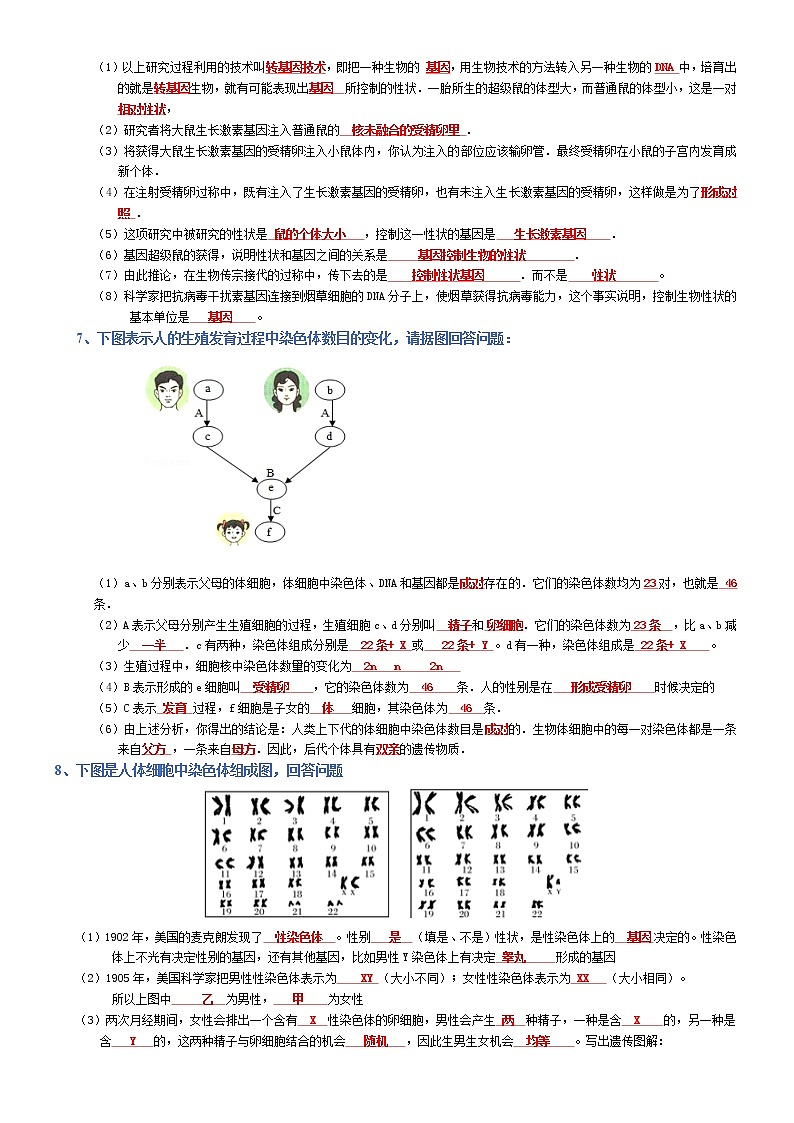 专题06 生物的生殖和发育-2022年中考生物必背知识清单（含答案）学案03