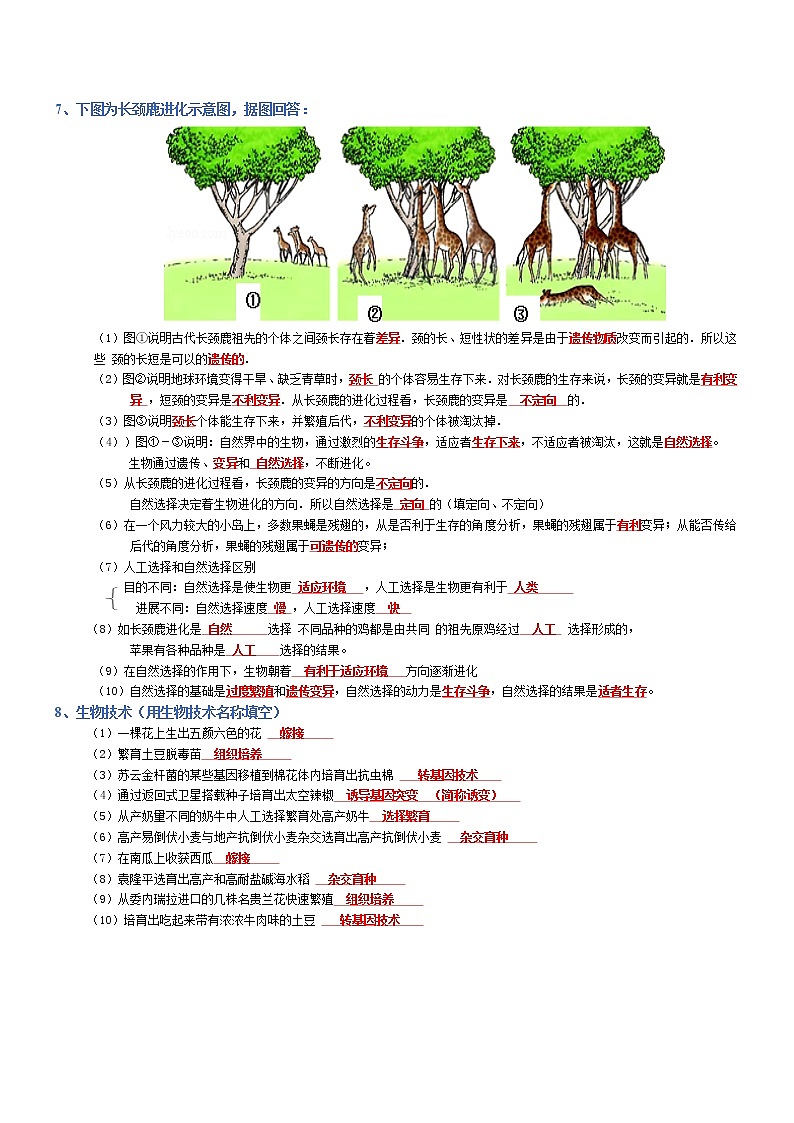 专题07 生物的起源和进化-2022年中考生物必背知识清单（含答案）学案03