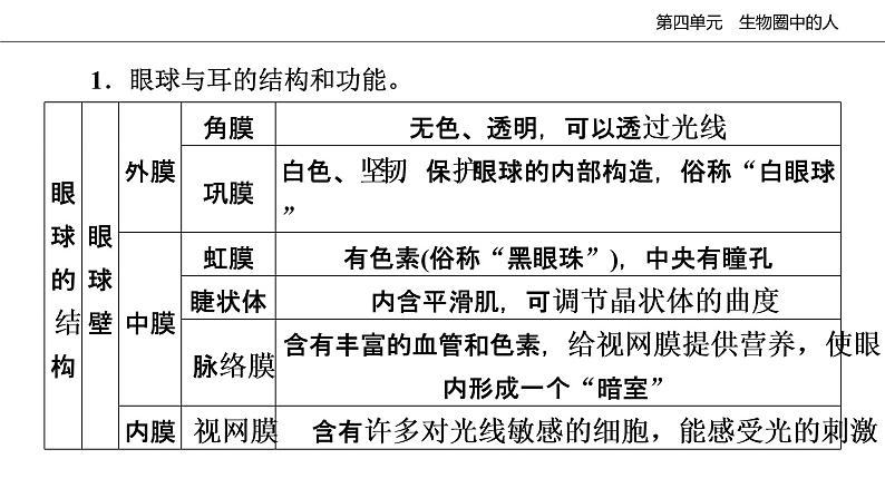 2020--2021学年人教版生物七年级下册第六章人体生命活动的调节复习课件05