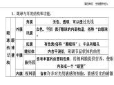 2020--2021学年人教版生物七年级下册第六章人体生命活动的调节复习课件