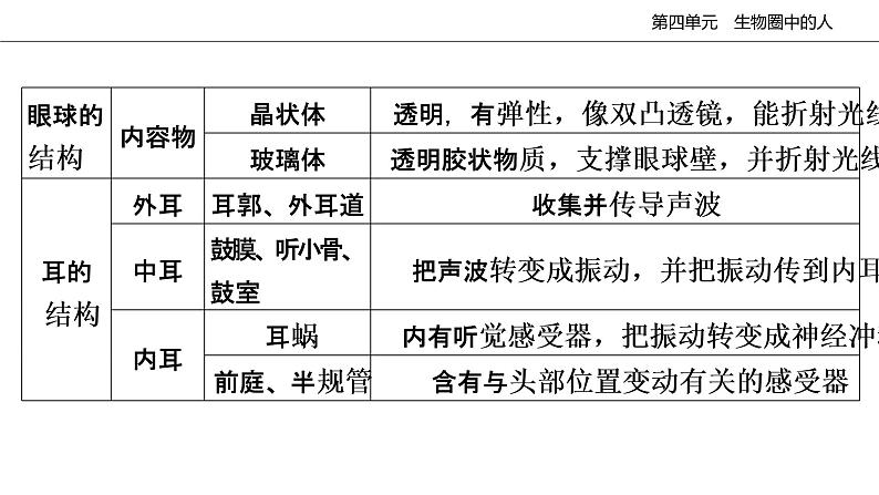 2020--2021学年人教版生物七年级下册第六章人体生命活动的调节复习课件06