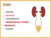 第五章 人体内废物的排出 课件-2020-2021学年人教版七年级生物下册