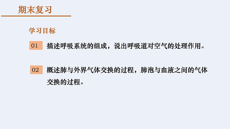 第四单元第三章 人体的呼吸  复习课件  2020-2021学年人教版生物七年级下册第3页