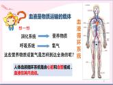 4.4.1流动的组织.血液  课件 2020-2021学年人教版七年级生物下册