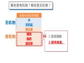 4.2 食物中的营养物质 课件 2020-2021学年人教版七年级生物下册