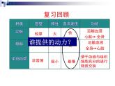 4.4.3输送血液的泵——心脏 第一课时课件-2021-2022学年人教版生物七年级下册