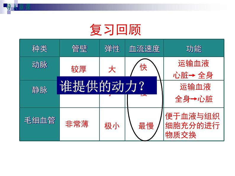 4.4.3输送血液的泵——心脏 第一课时课件-2021-2022学年人教版生物七年级下册第2页