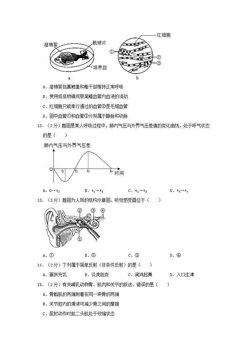 2019年广东省东莞市中考生物试卷及答案03