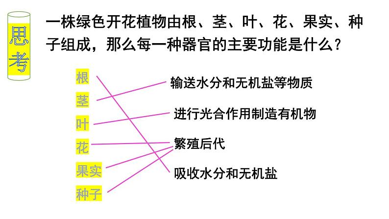 植物体的结构层次PPT课件免费下载08