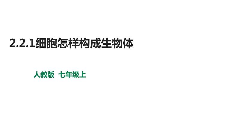 2.2.1细胞通过分裂产生新细胞第1页