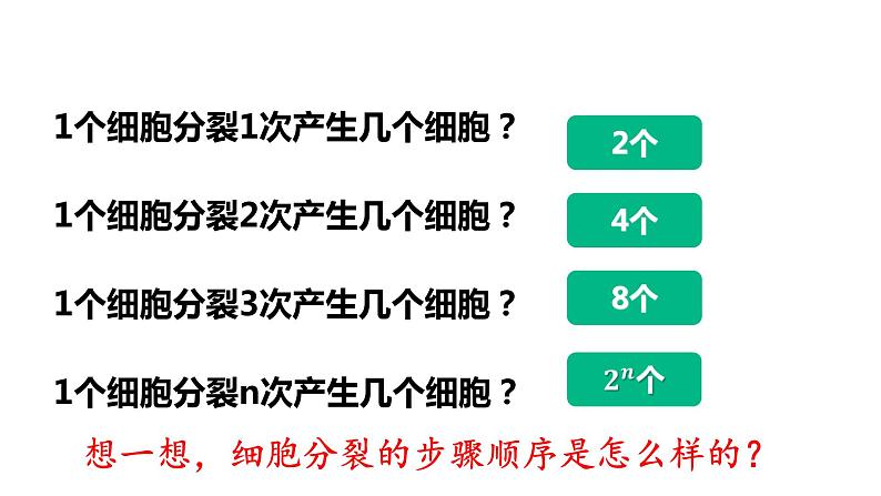 2.2.1细胞通过分裂产生新细胞第7页