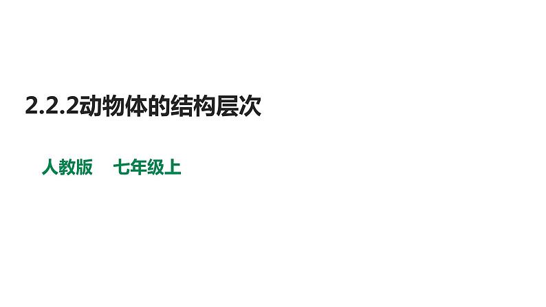 人教版七年级上册生物--2.2.2动物体的结构层次课件+ 教学视频（共2段）01